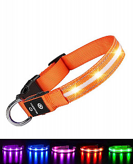 Led Collar