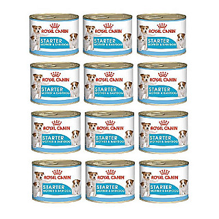 Royal Canin Mother & Baby Starter