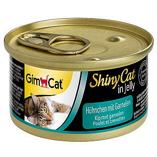 GimCat مریشک و ڕۆبیان