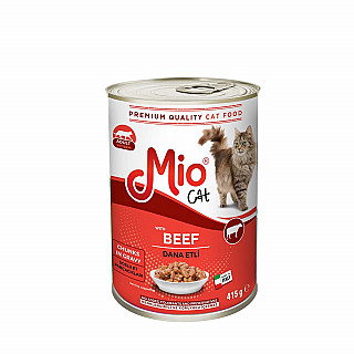 Mio گۆشتی مانگا