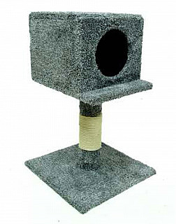 House & scratcher