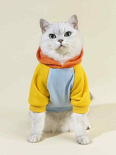 Hoodie L