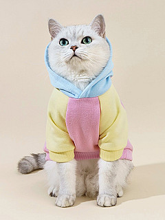 Hoodie M