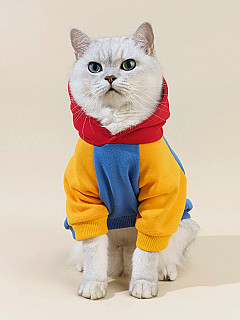 Hoodie L