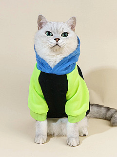Hoodie S