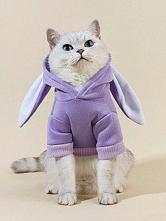 Hoodie S