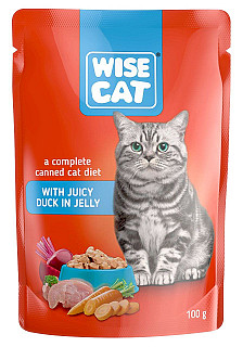 Wise Cat Duck