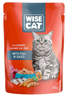 Wise Cat Fish