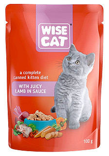 Wise Cat Lamb