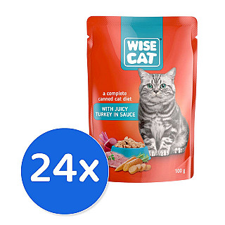 Wise Cat Turkey