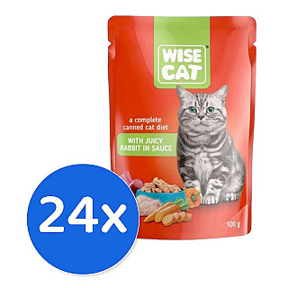 Wise Cat Rabbit