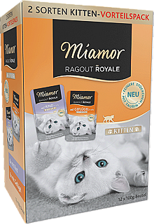 Miamor کیتن