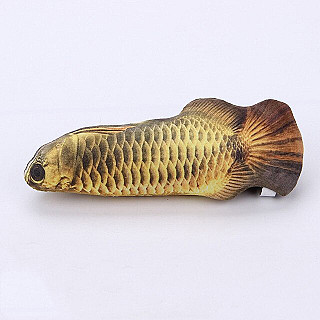 Fish Toy