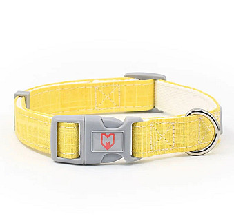 Dog Collar
