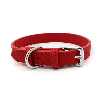Dog Collar