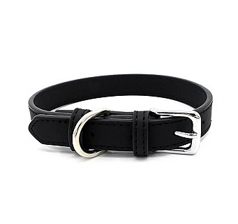 Dog Collar