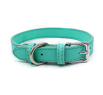Dog Collar