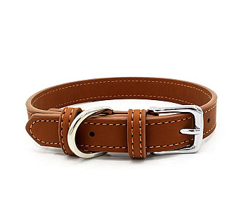 Dog Collar