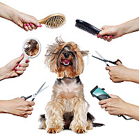 Grooming