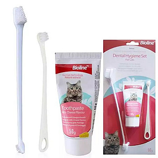 Bioline Dental Set