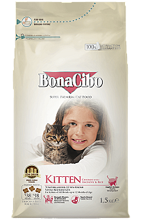 Bonacibo Kitten مریشک