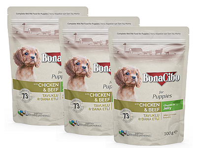 Bonacibo Puppies مریشک و گۆشتی مانگا