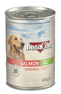 Bonacibo Adult سەلەمۆن