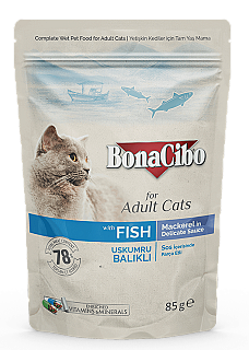 Bonacibo Adult ماسی