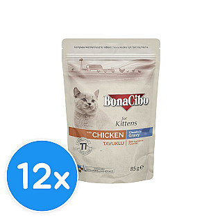 Bonacibo Kitten  مریشک