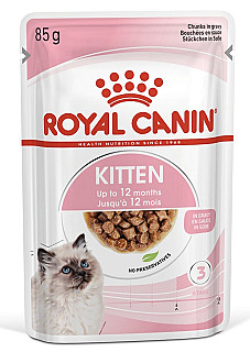 Royal Canin کیتن