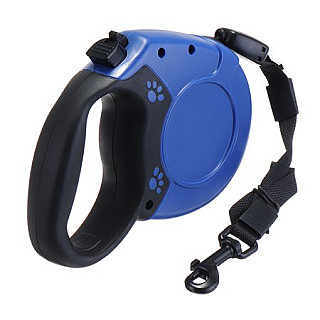 Retractable leash