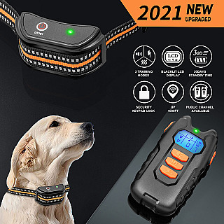 Training Collar