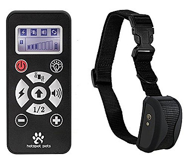 Training Collar