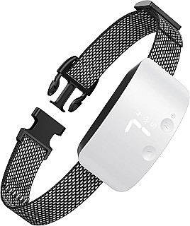 Bark Collar