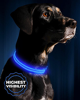 Led Collar