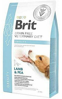 Brit Dog Obesity