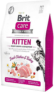 Brit Kitten مریشک و عەلەشیش