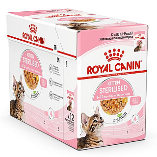 Royal Canin کیتنی نەزۆککراو
