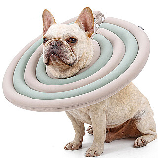 Protective Collar - L