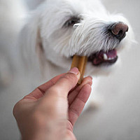 Treats & Snacks