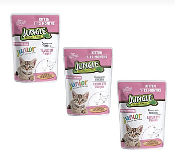 Jungle کیتن