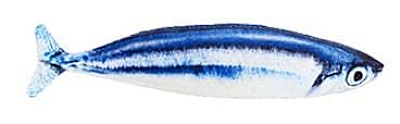 Kitten Fish Toy