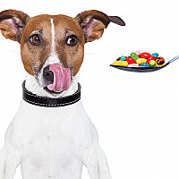 Health & Vitamins