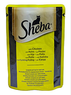Sheba مریشک