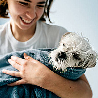Cleaning & Hygiene