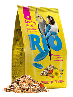 RIO Parakeets