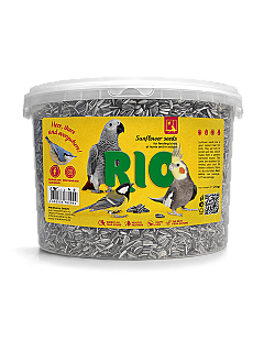 RIO parrots