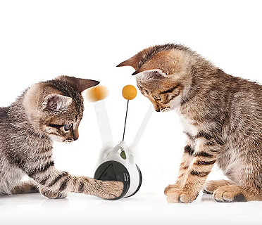 Pet balance Swing Car