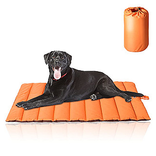 Outdoor Portable Dog Bed