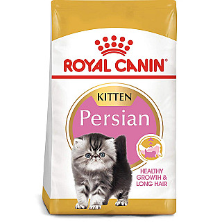 Royal Canin شیرازی کیتن